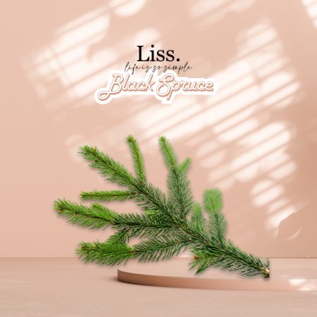 Black Spruce Essential Oil