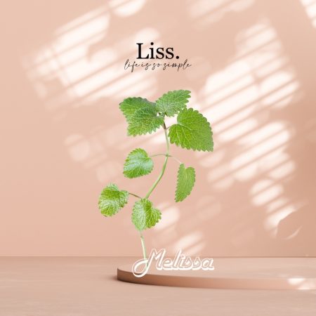 Melissa Essential Oil