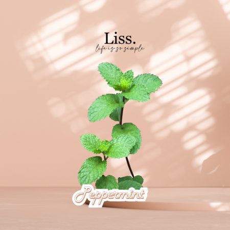 Peppermint (Arvensis) Essential Oil