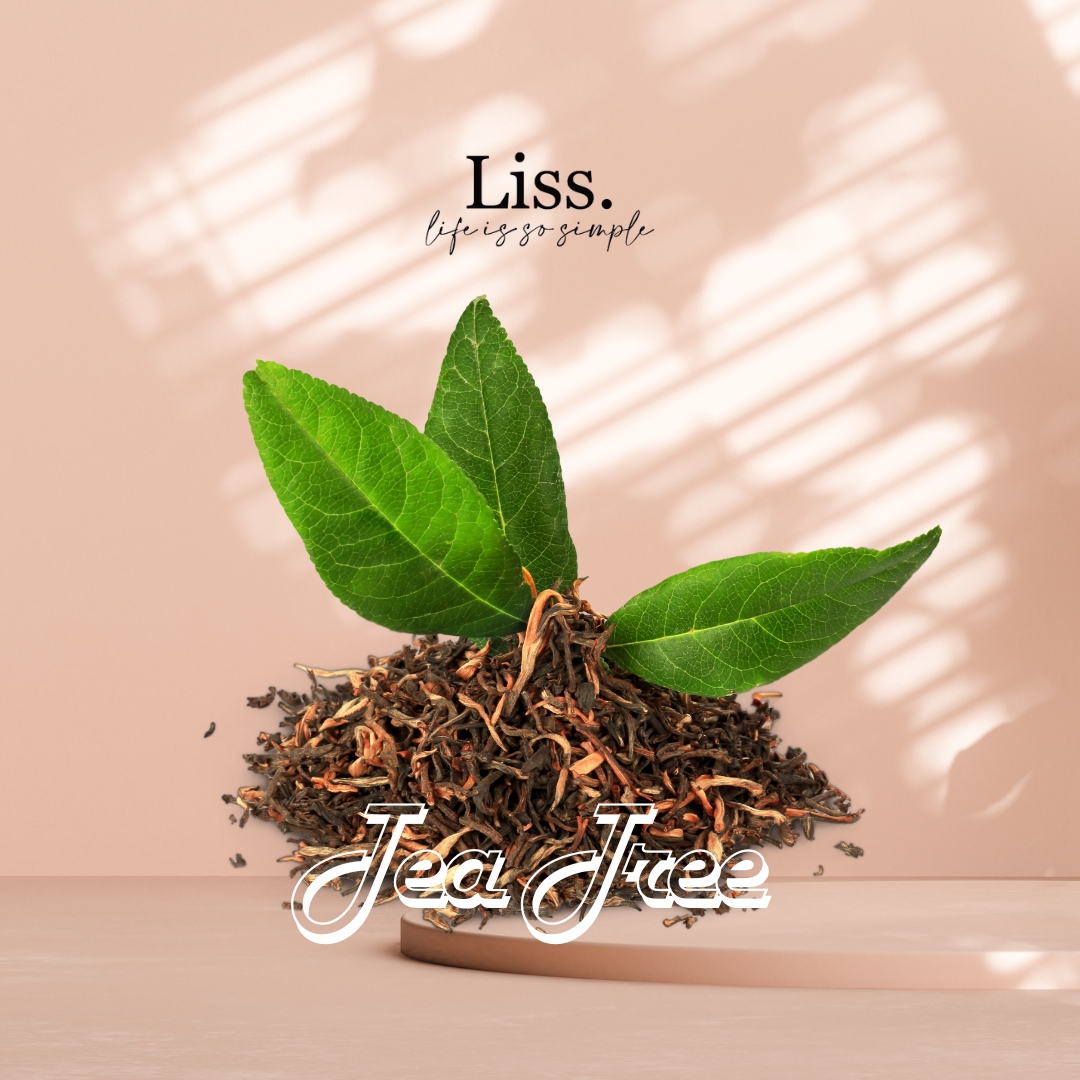 Tea Tree Essential Oil - Image 2